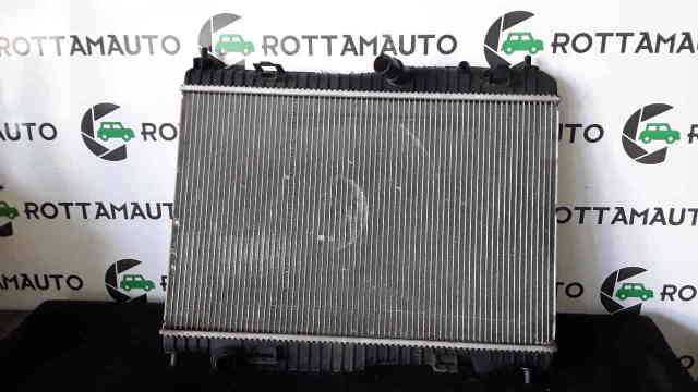 Radiatore Acqua Ford Fiesta mK6 