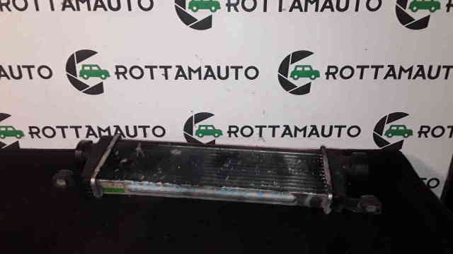 Radiatore Intercooler Mercedes-Benz A170 (W168) 1.7 CDI 668942