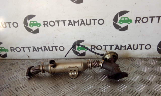 Scambiatore Fumi Egr Citroën C5 mk1 2.0 HDi  RHZ