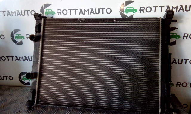 Radiatore Acqua Renault Scenic mk2 1.9 dCi F9QD8