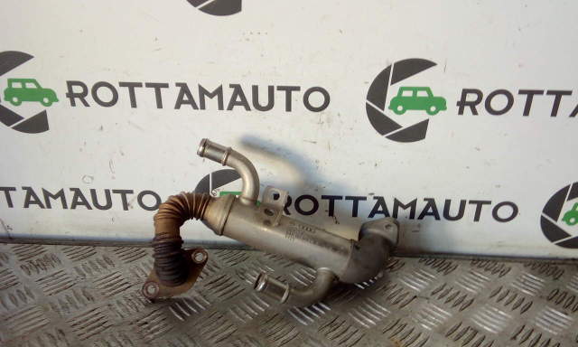 Scambiatore Fumi Egr Volkswagen Polo 9N 1.4 TDI AMF