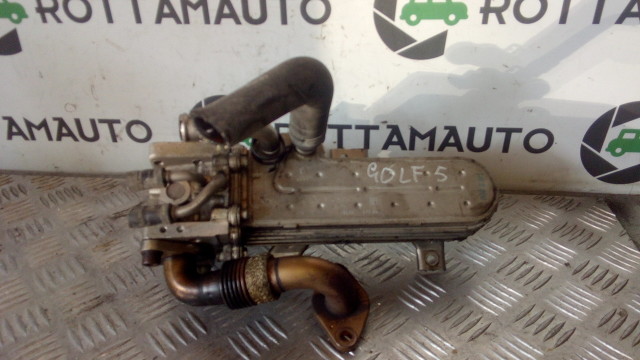 Scambiatore Fumi Egr Volkswagen Golf 5 V 1.9 TDI  BKC 