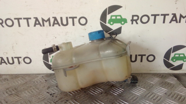 Vaschetta Acqua Radiatore Fiat Nuova Bravo (198) 1.9 Multijet 120 192A8000