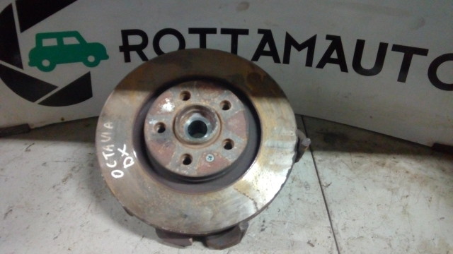 Montante Sospensione  Dx Skoda Octavia 1.9 TDI  AHF