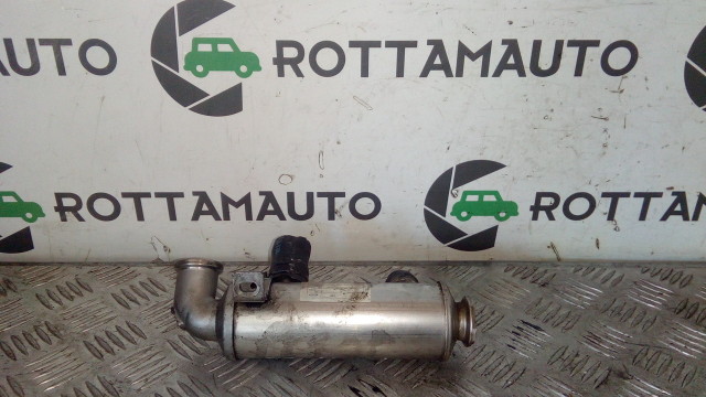 Scambiatore Fumi Egr Citroën C3 1.4 HDi 8HZ