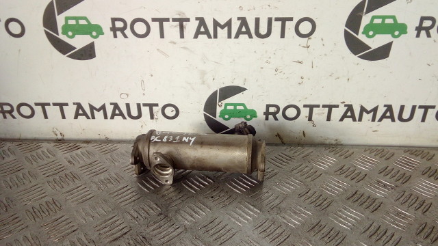 Scambiatore Fumi Egr BMW 320d E46  204D1