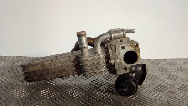 Scambiatore Fumi Egr Volkswagen Golf 5 V 1.9 TDI  BKC