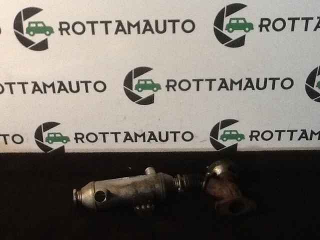 Scambiatore Fumi Egr Peugeot 307 2.0 Hdi RHY